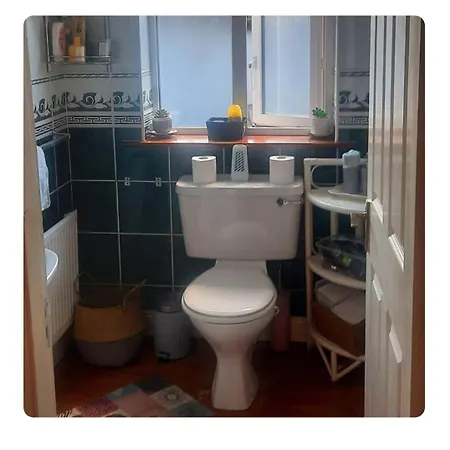 בית אירוח Glasha House Limerick Junction